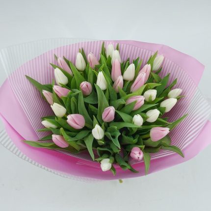 31 бело-розовый тюльпан с оформлением